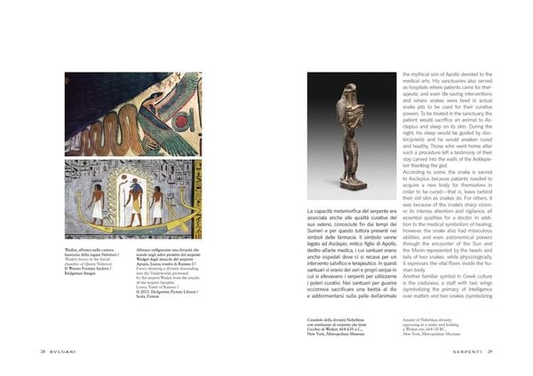 Bulgari | Serpenti : The Power of Metamorphosis