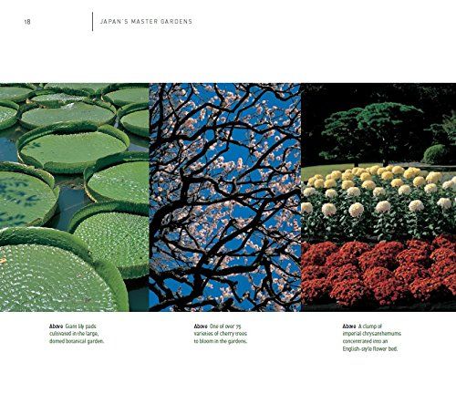  Japan's Master Gardens : Lessons in Space and Environment_Stephen Mansfield_9780804850544_Tuttle Publishing 