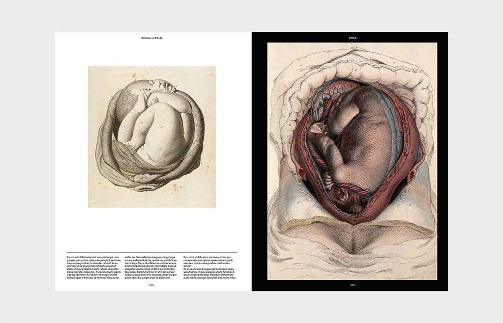  Anatomica : The Exquisite and Unsettling Art of Human Anatomy_Joanna Ebenstein_9781786275714_Laurence King Publishing 