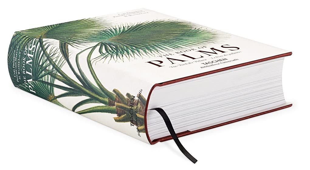  The Book Of Palms_H. Walter Lack_9783836556231_Taschen 