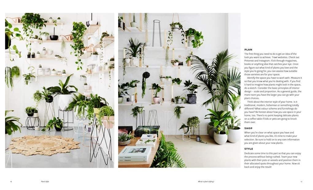  Plant Style : How to greenify your space 