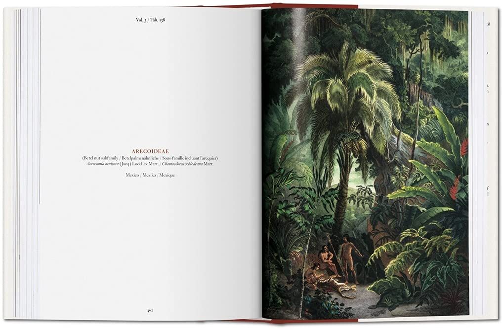  The Book Of Palms_H. Walter Lack_9783836556231_Taschen 