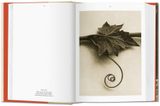  Karl Blossfeldt: The Complete Published Work_Hans Christian Adam_9783836550727_Taschen 