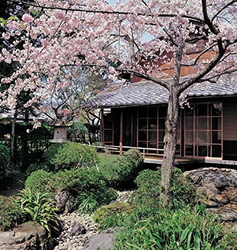  Japanese Gardens: Tranquility, Simplicity, Harmony 