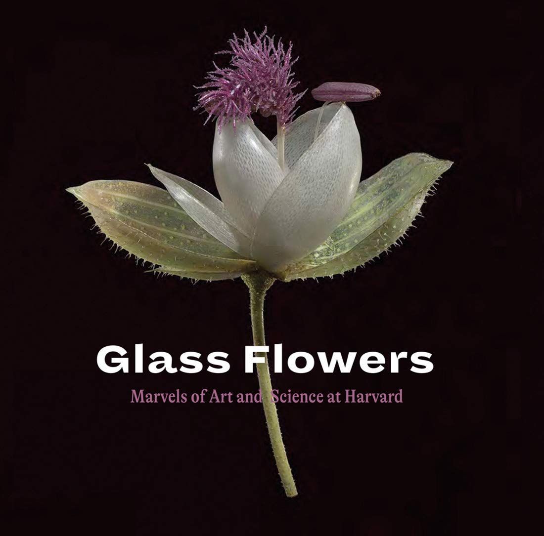  Glass Flowers : Marvels Of Art And Science At Harvard_Jennifer Brown_9781785512247_WORDS & VISUALS PRESS PTE LTD 