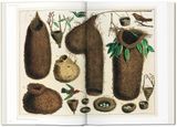  Seba: Cabinet Of Natural Curiosities _Irmgard Müsch_9783836569064_Taschen 