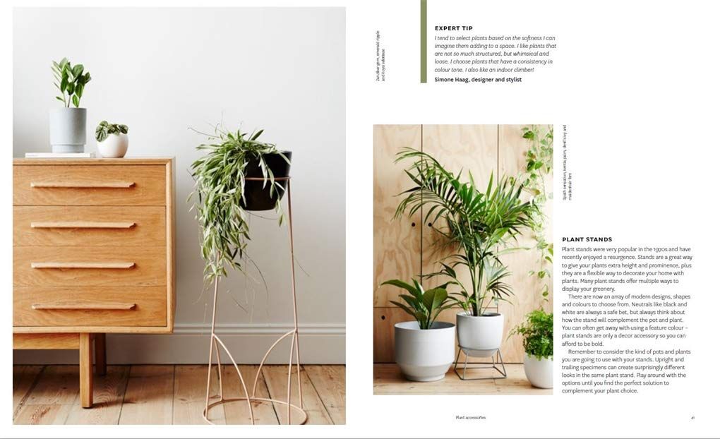  Plant Style : How to greenify your space 