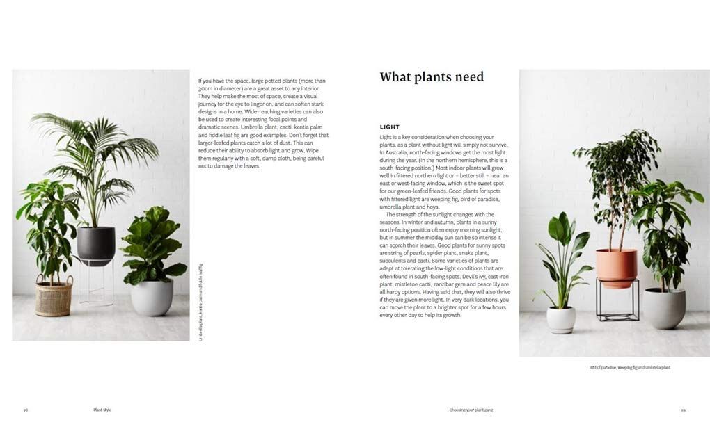  Plant Style : How to greenify your space 