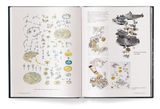  The Watch Book: More Than Time 