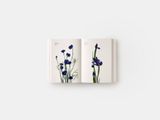  Flower Colour Guide_DARROCH PUTNAM_9780714878300_Phaidon Press Ltd 