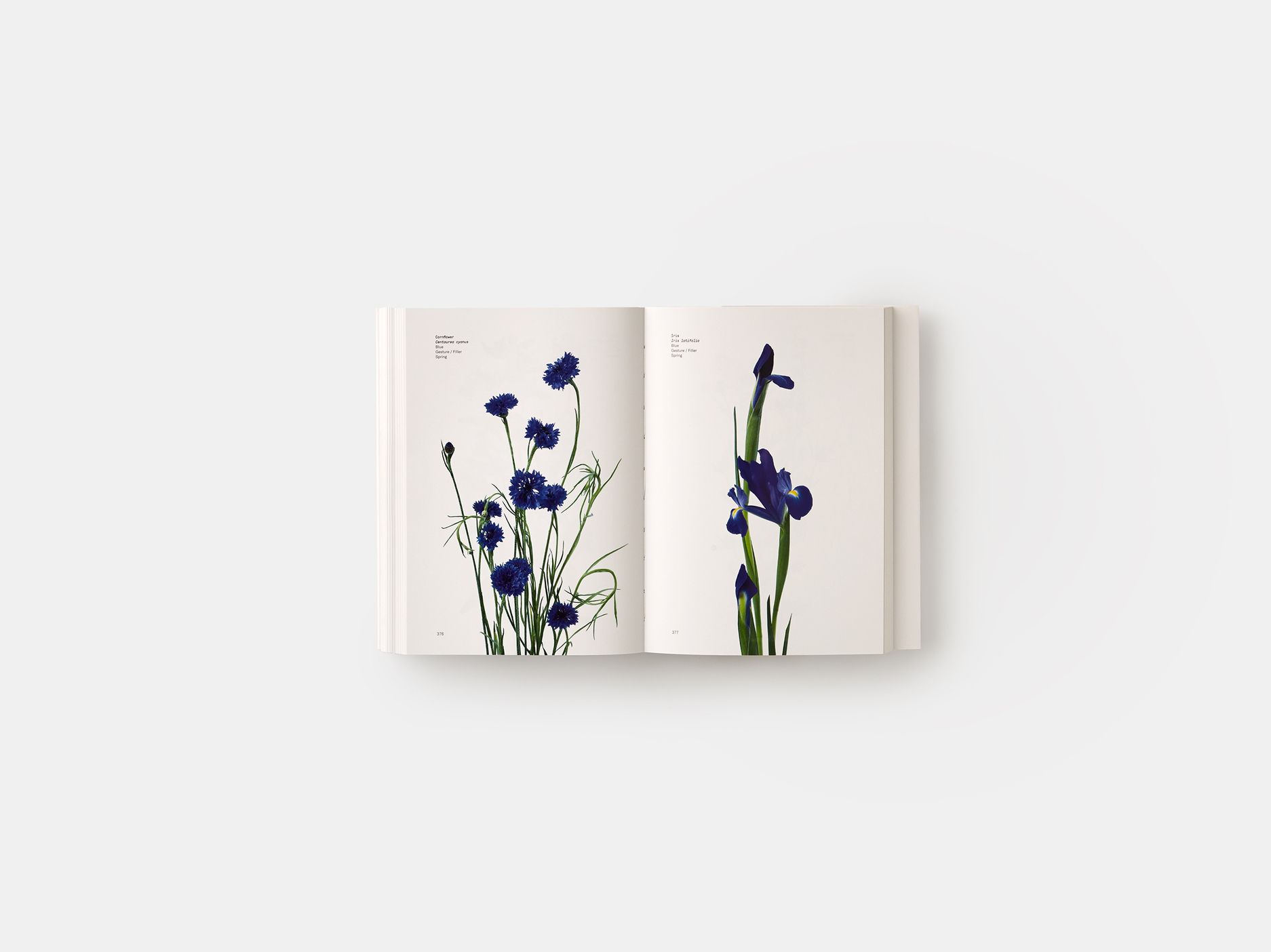  Flower Colour Guide_DARROCH PUTNAM_9780714878300_Phaidon Press Ltd 