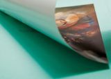  Masterpieces of Fantasy Art_Dian Hanson_9783836572101_Taschen 