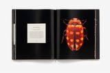  Microsculpture : Portraits of Insects_Levon Biss_9781419726958_Abrams 