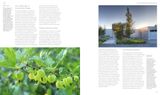  New Nordic Gardens: Scandinavian Landscape Design_Annika Zetterman_9780500296141_Thames & Hudson Ltd 