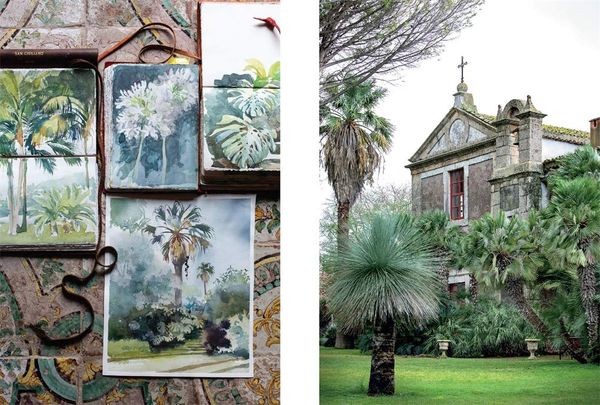 A Room of Her Own : Inside the Homes and Lives of Creative Women