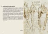  Leonardo da Vinci : Under the Skin_Stephen Farthing_9781912520091_Royal Academy of Arts 