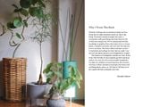  A Beginner's Guide to House Plants: Creating Beautiful and Healthy Green Spaces in Your Home 