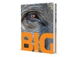  Big : A Photographic Album of the World's Largest Animals 