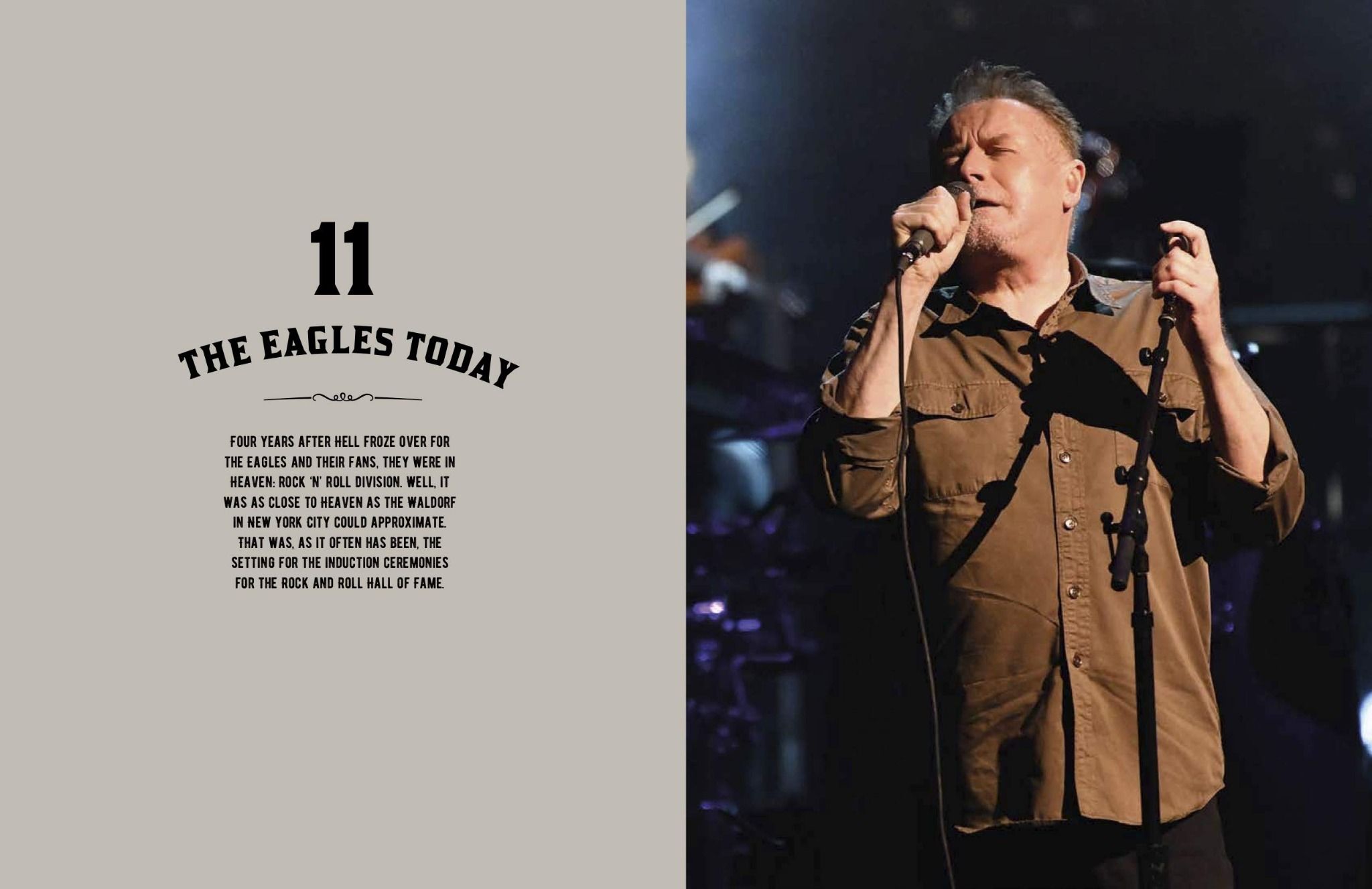  The Eagles: Take It To The Limit 