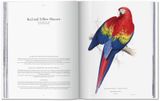  Edward Lear. The Parrots. The Complete Plates 