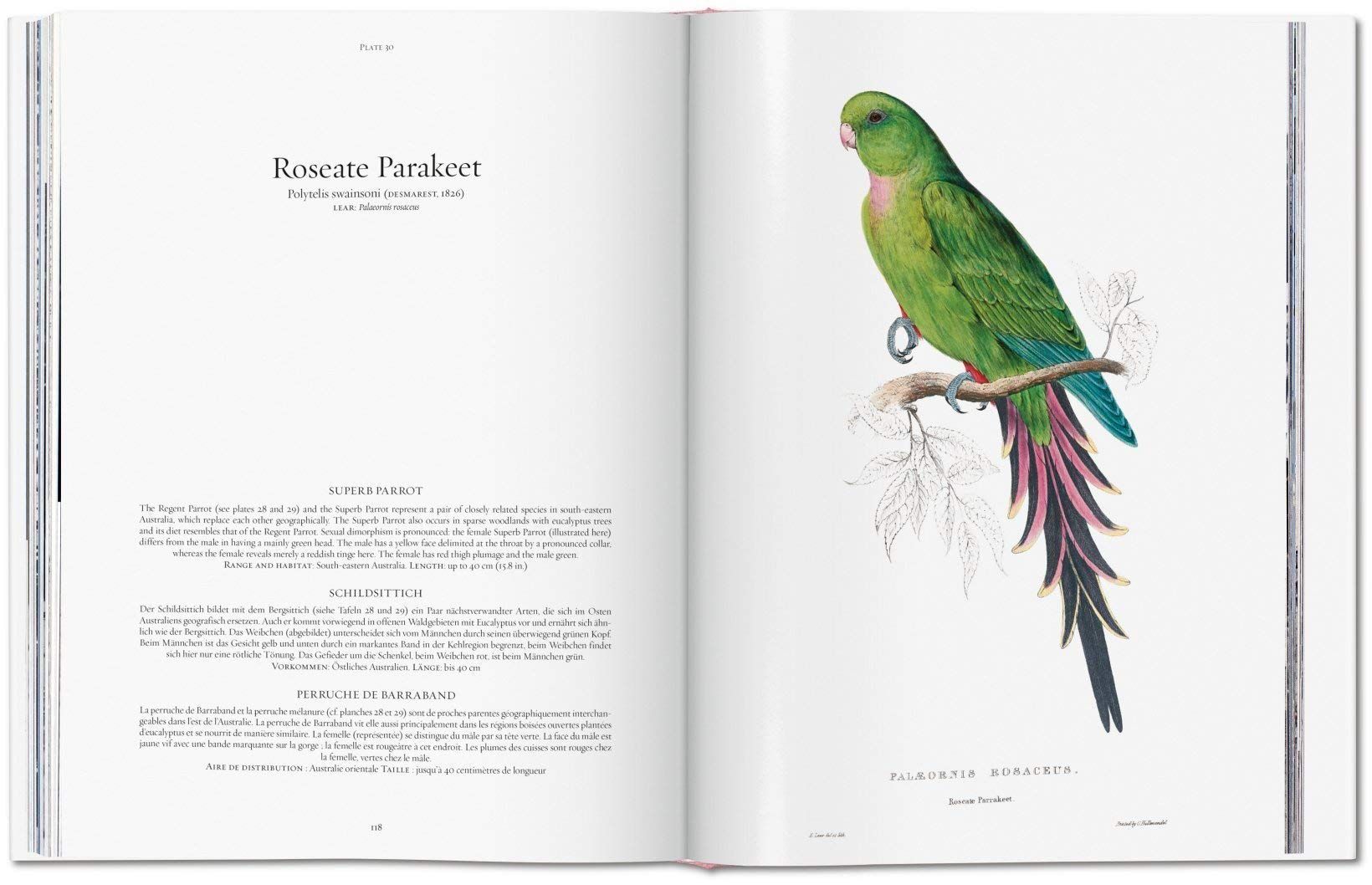  Edward Lear. The Parrots. The Complete Plates 