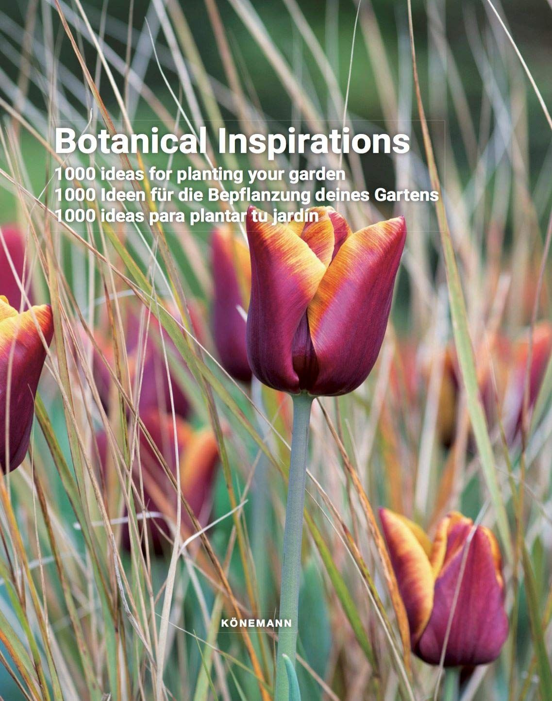  Botanical Inspirations: 1000 Ideas for Planting Your Garden 