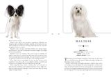  The Dog: A Book That Transforms Into a Work of Art 