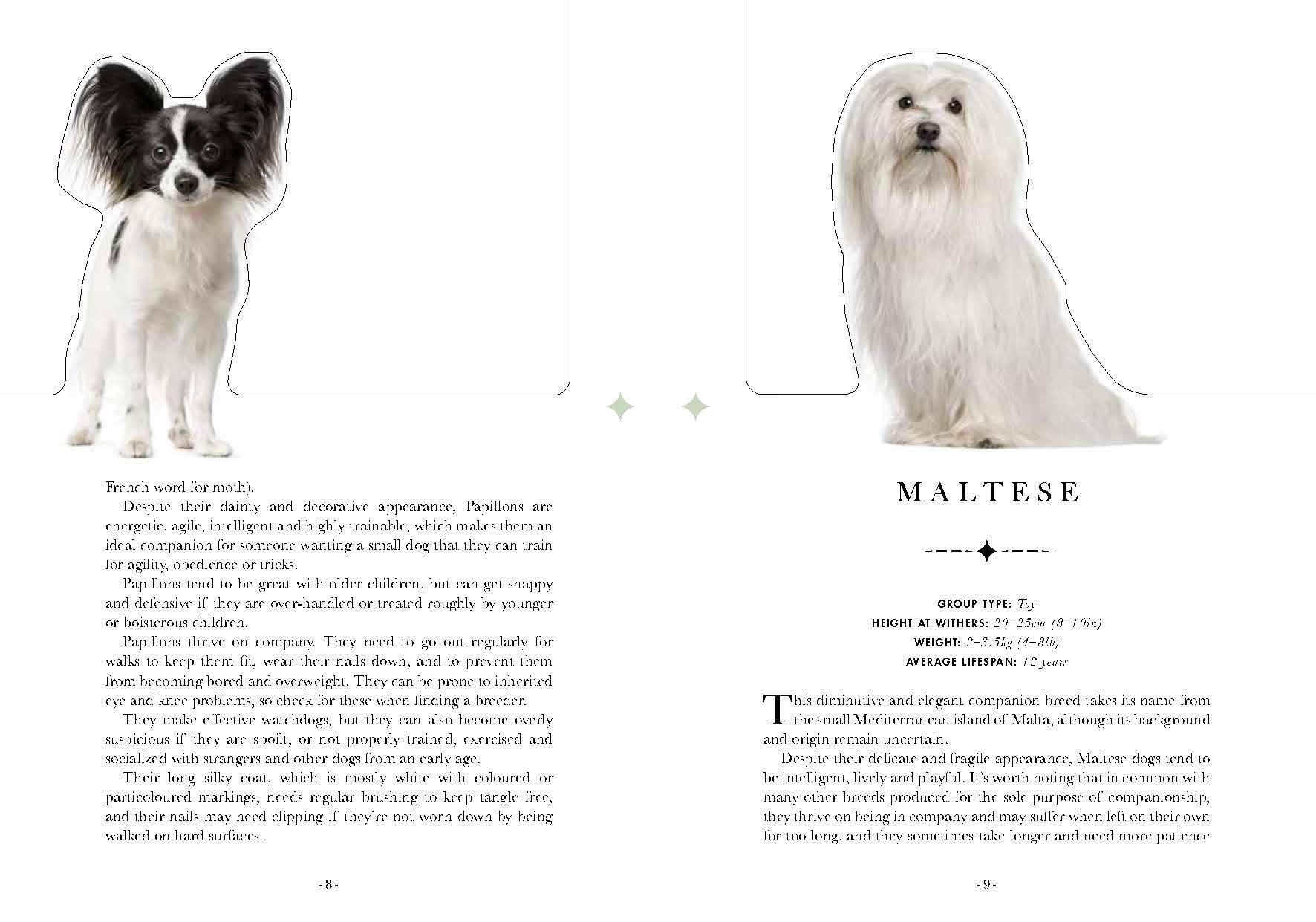 The Dog: A Book That Transforms Into a Work of Art 