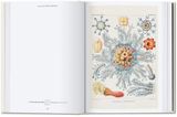  The Art and Science of Ernst Haeckel_Rainer Willmann_9783836584289_Taschen 