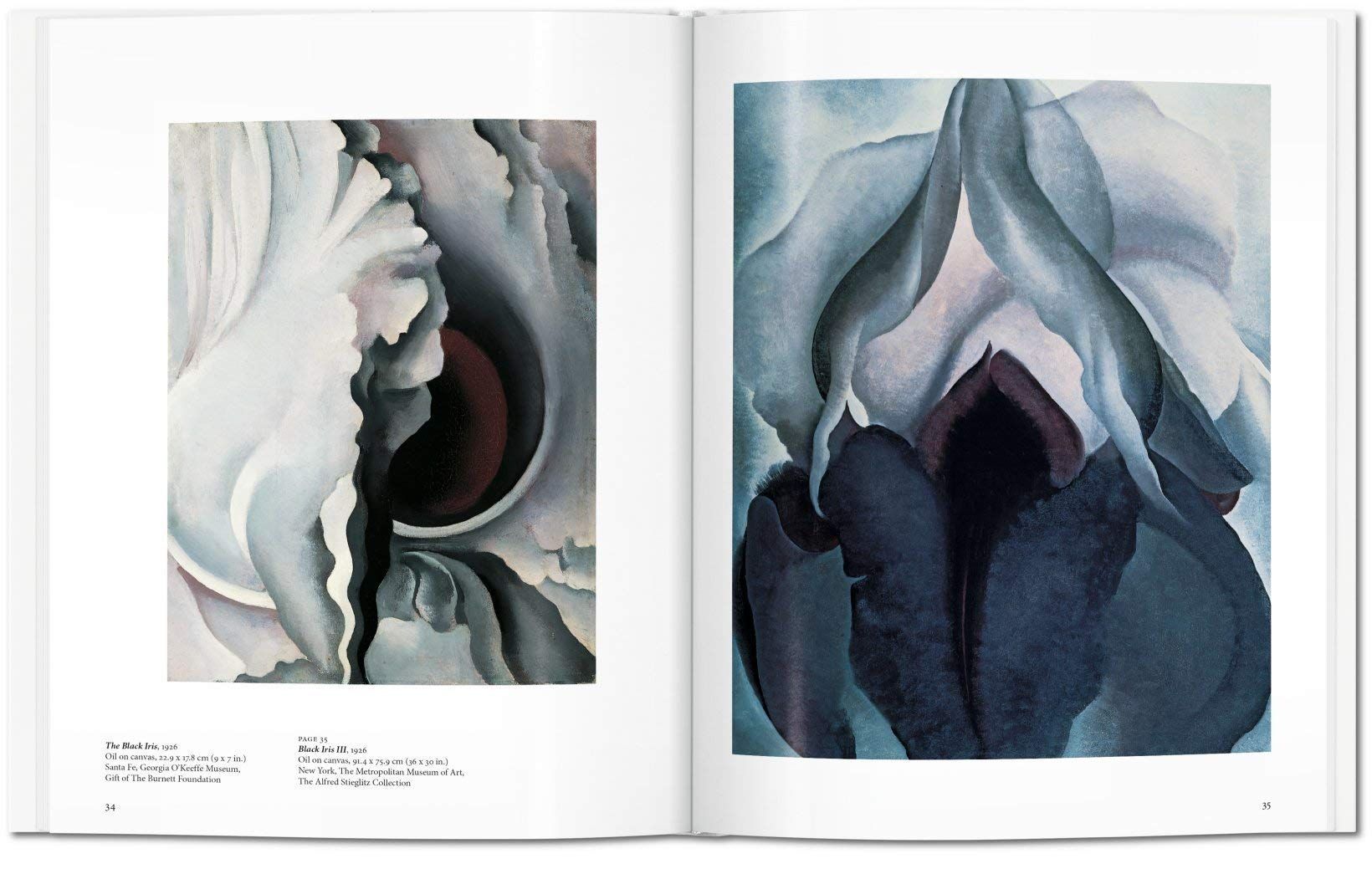  O'Keeffe_Britta Benke_9783836542319_TASCHEN 