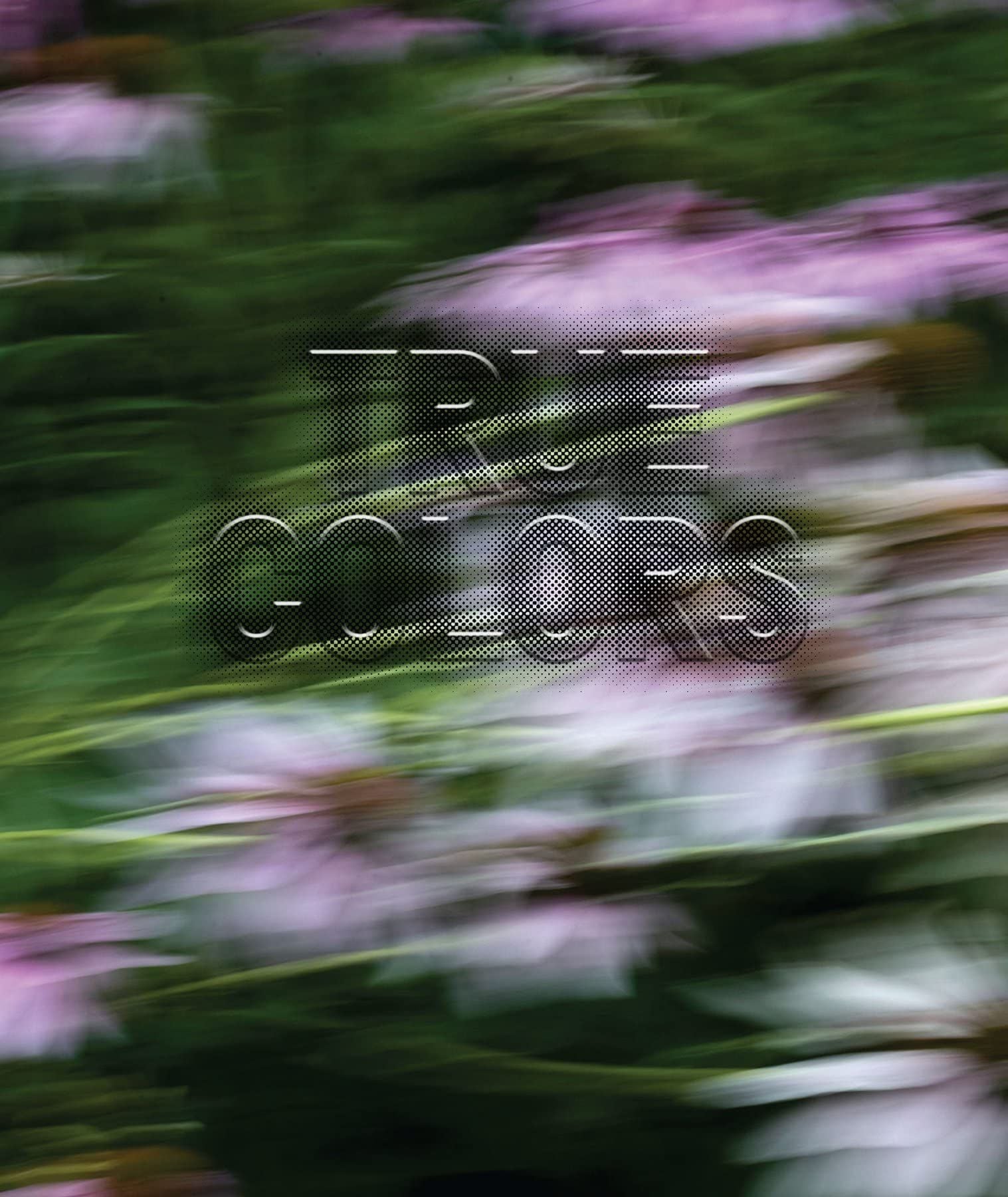  Zora J Murff: True Colors 