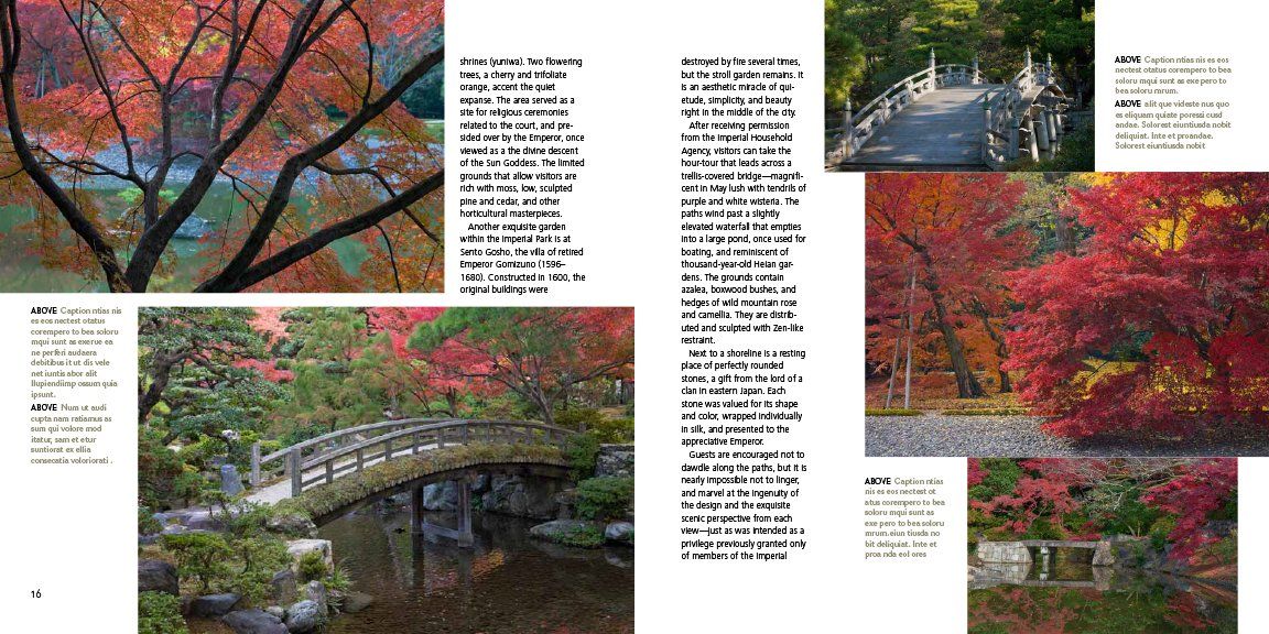  Kyoto Gardens_Judith Clancy_9784805313213_Tuttle Publishing 