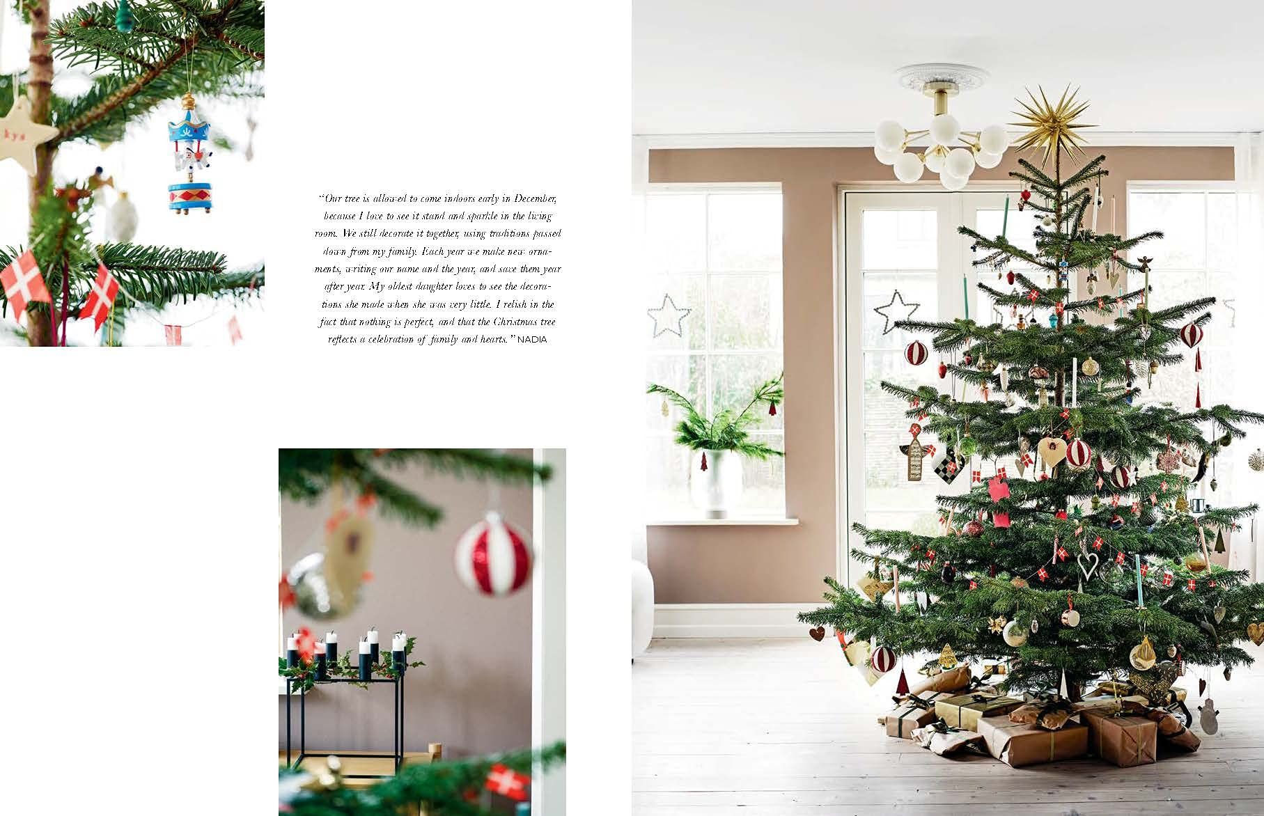  The Christmas Season_Katrine Martensen-Larsen_9781788841351_WORDS & VISUALS PRESS PTE LTD 