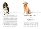  The Dog: A Book That Transforms Into a Work of Art 