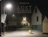  Lost in the Beauty of Bad Weather 