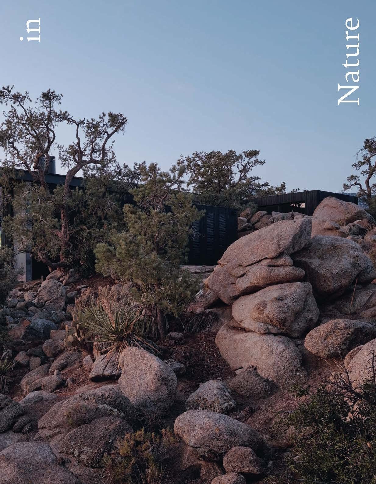  Hidden Architecture : Buildings that Blend In 