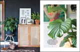  Urban Jungle: Living and Styling with Plants 