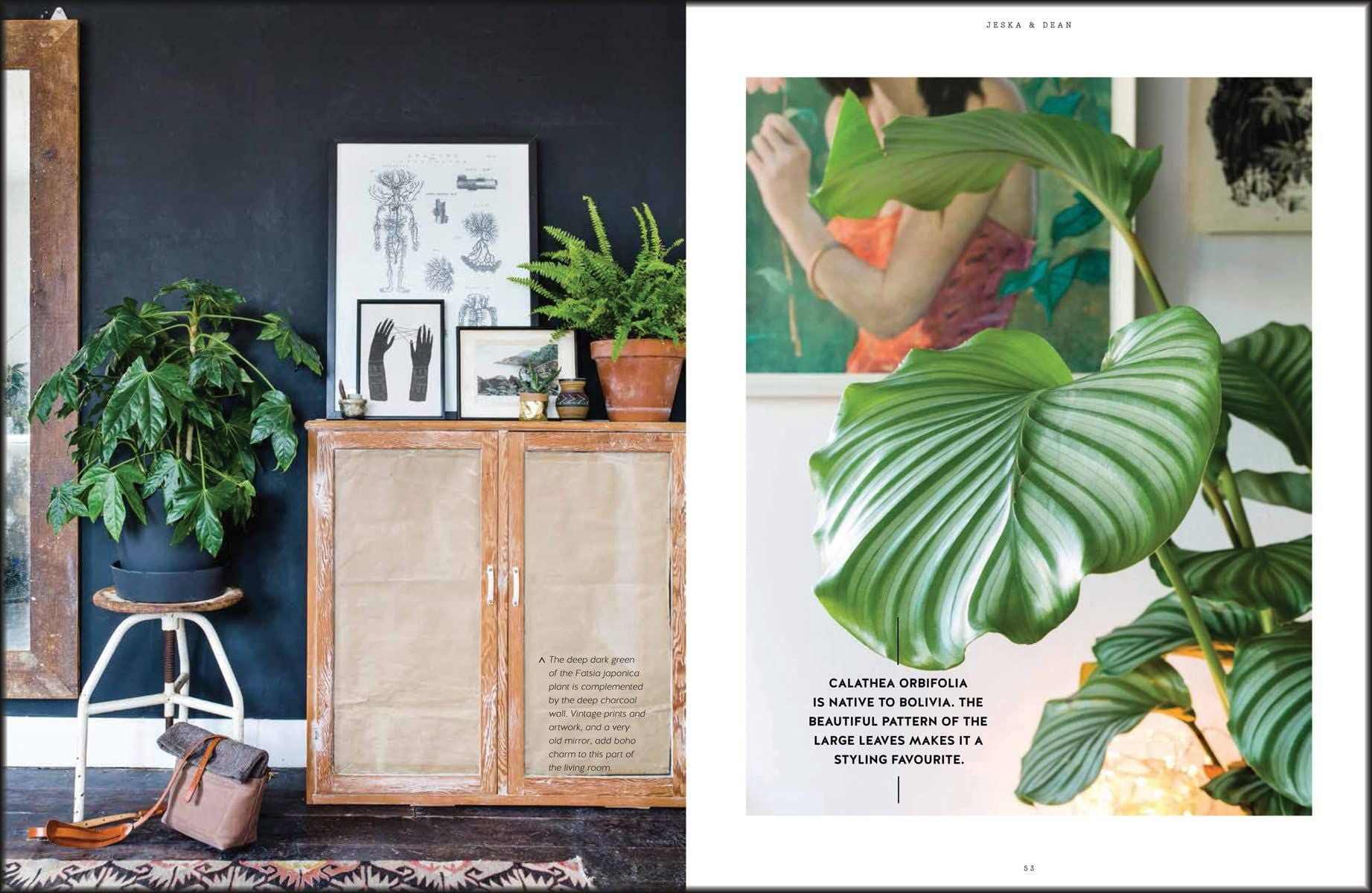  Urban Jungle: Living and Styling with Plants 