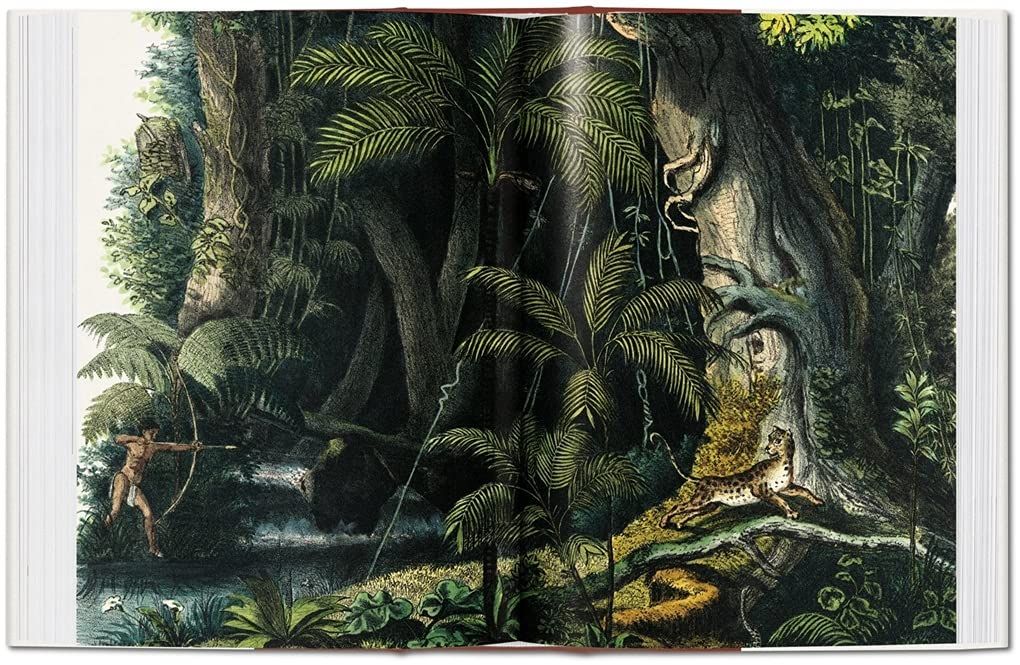  The Book Of Palms_H. Walter Lack_9783836556231_Taschen 