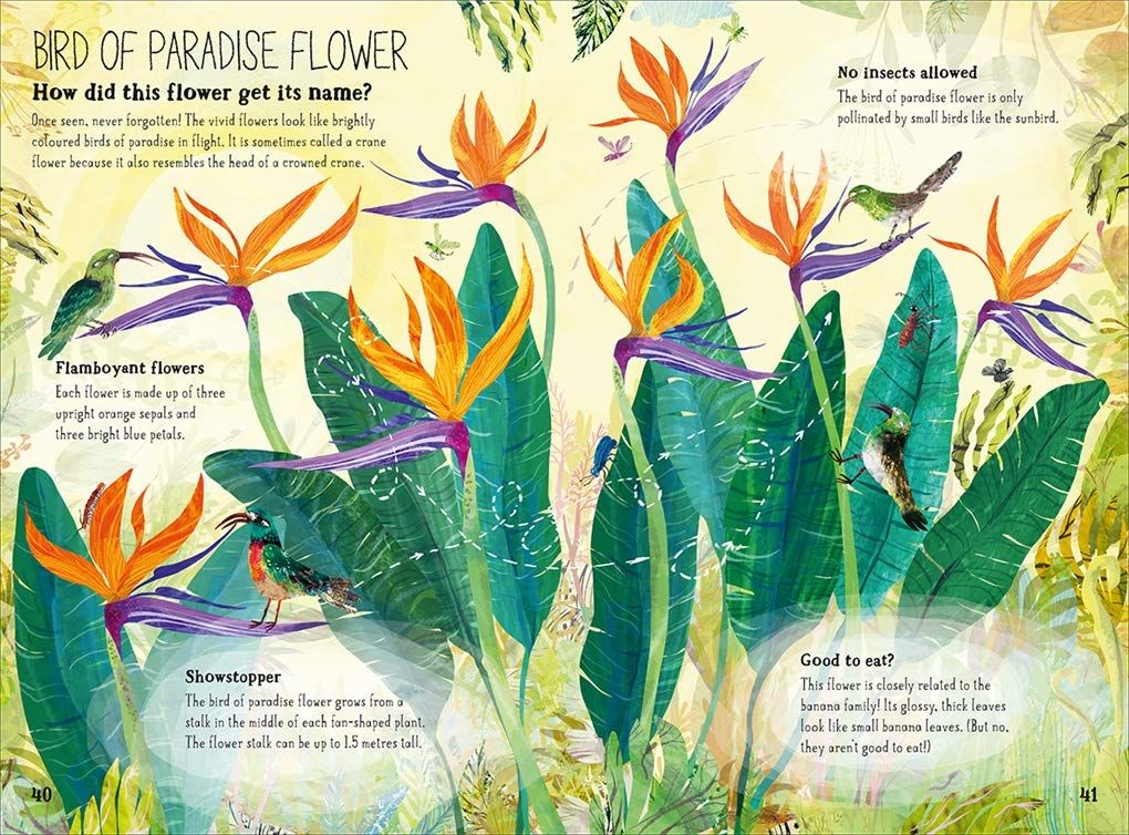  Big Book Of Blooms, The_Yuval Zommer_9780500651995_APD SINGAPORE PTE LTD 