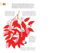  365 Days of Art in Nature : Find Inspiration Every Day in the Natural World 