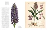  The Orchid: Celebrating 40 of the World's Most Charismatic Orchids Through Rare Prints and Classic Texts 