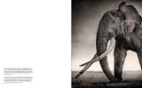  Last of Their Kind_Joachim Schmeisser_9783961712793_teNeues Publishing UK Ltd 