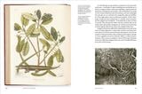  Remarkable Trees 