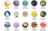 Japanese Color Harmony Dictionary: Traditional Colors: The Complete Guide for Designers and Graphic Artists 