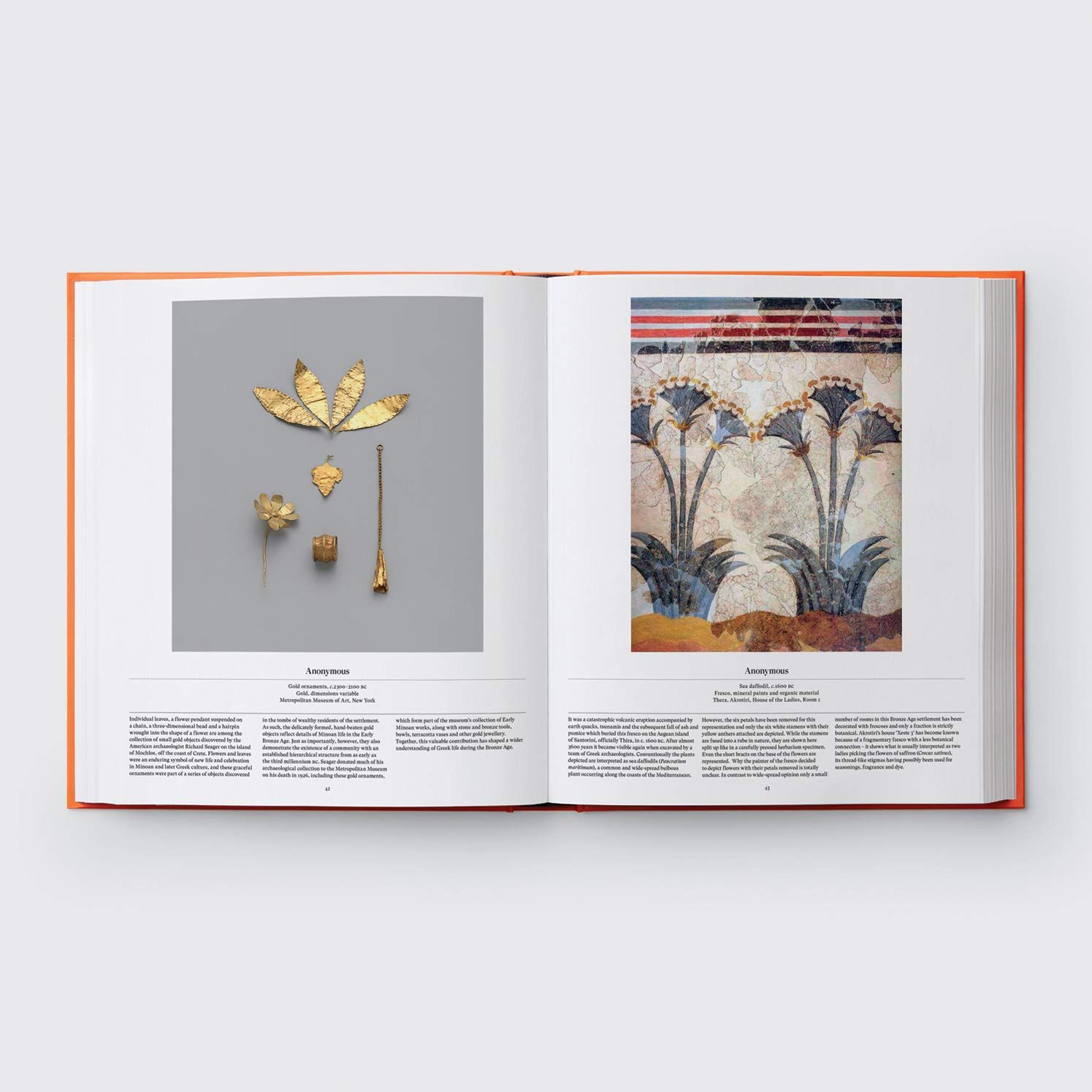  Flower: Exploring the World in Bloom_Phaidon Editors_9781838660857_Phaidon Press Ltd 