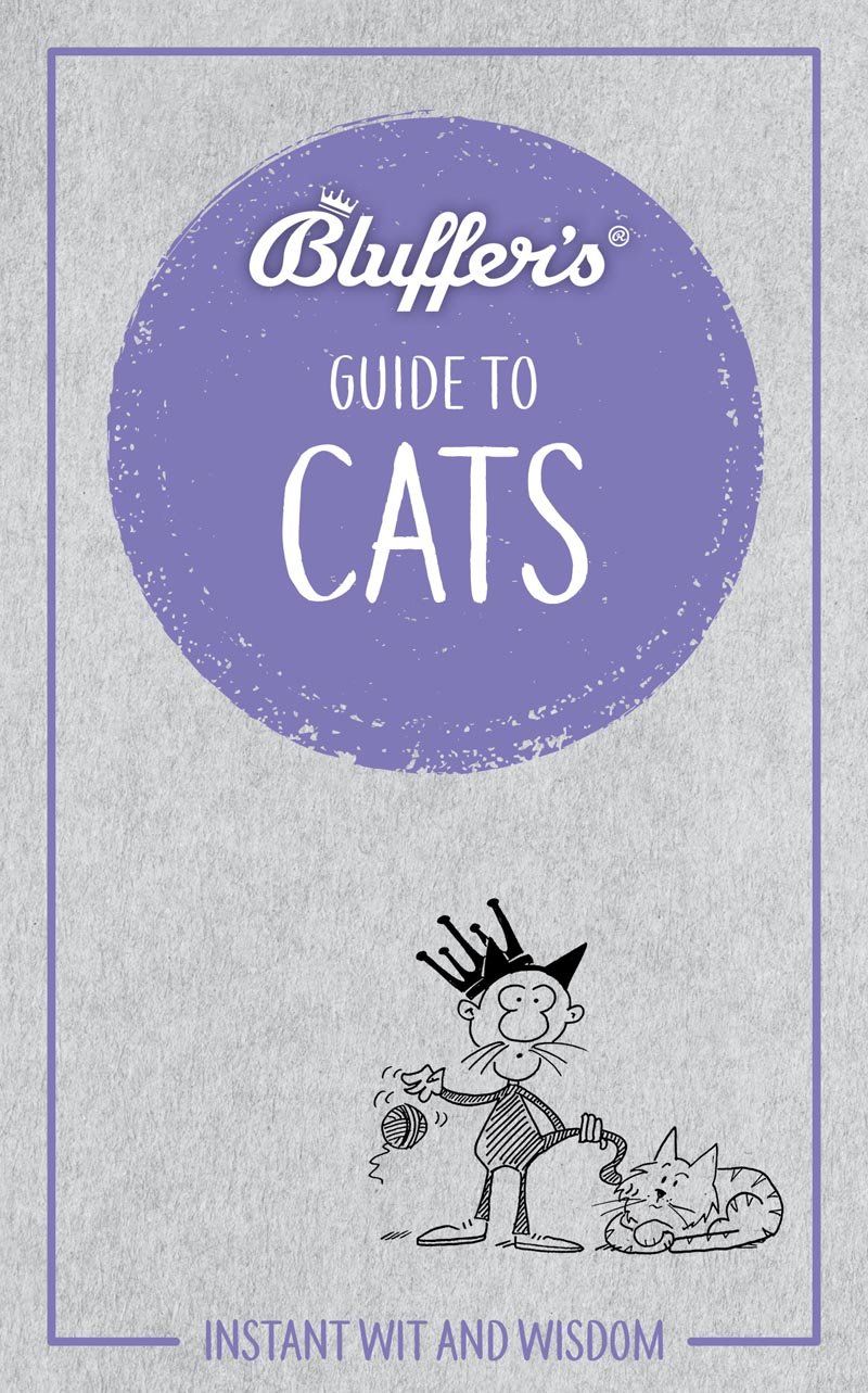  Bluffers Guide To Cats 