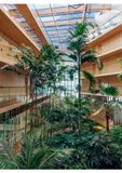  Botanical Buildings 