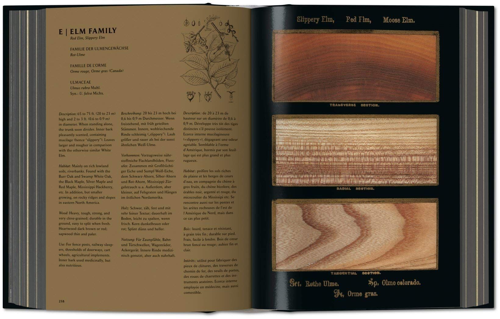 Romeyn B. Hough: The Woodbook 