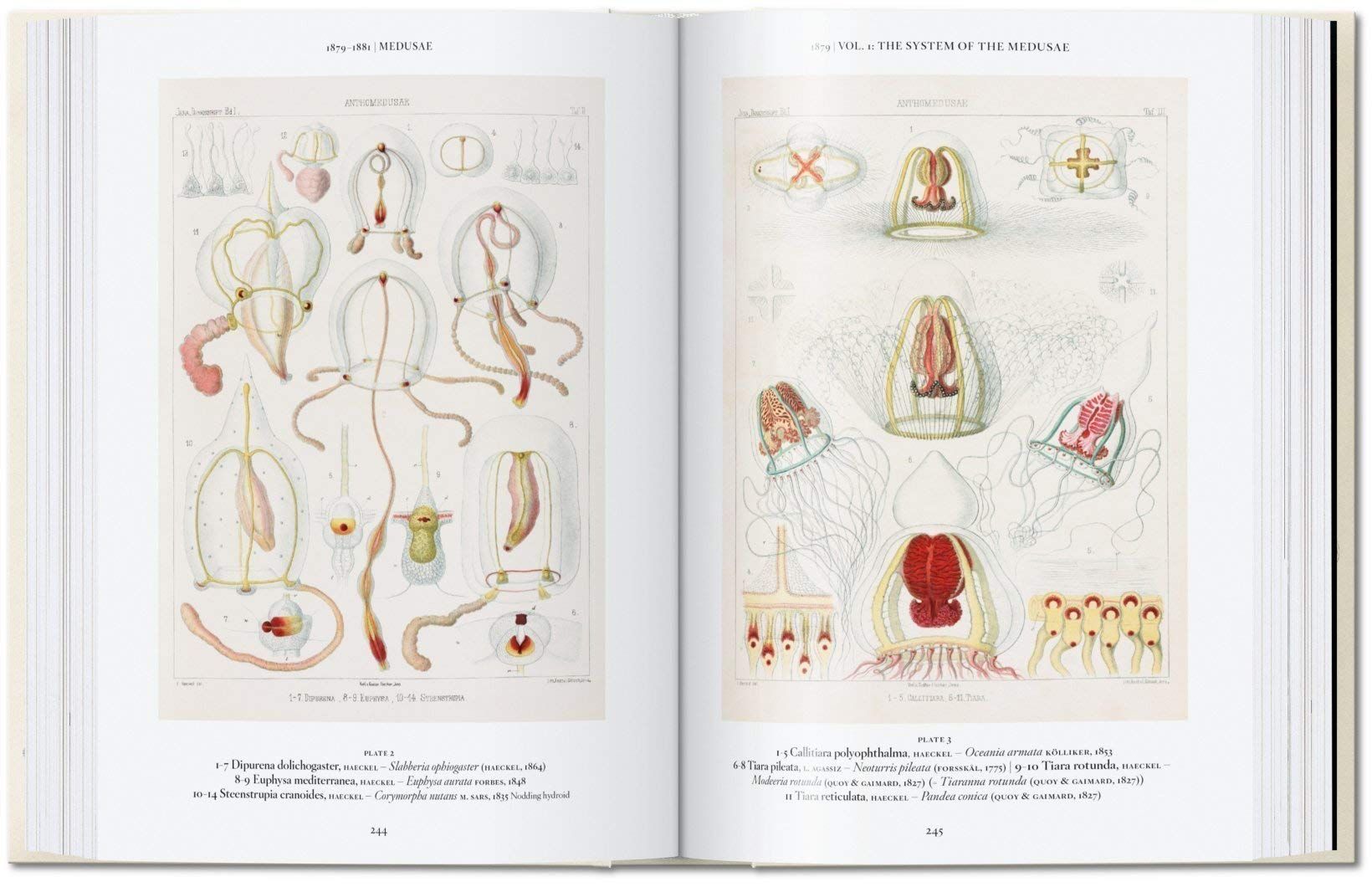  The Art and Science of Ernst Haeckel_Rainer Willmann_9783836584289_Taschen 